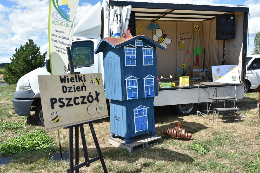 Pszczeli piknik w Pakosławiu zaprasza - Zdjęcie główne