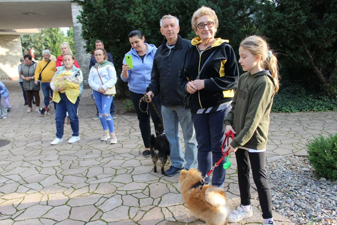 U franciszkanów w Jarocinie z okazji odpustu błogosławiono zwierzęta