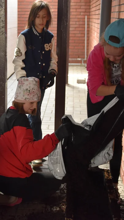 Rozkwitło wejście do budynku z pracowniami GOK Hutnik