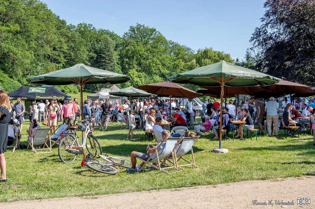 Festiwal Lasu w Gołuchowie. Zapowiada się wspaniałe wydarzenie [ZDJĘCIA] - Zdjęcie główne