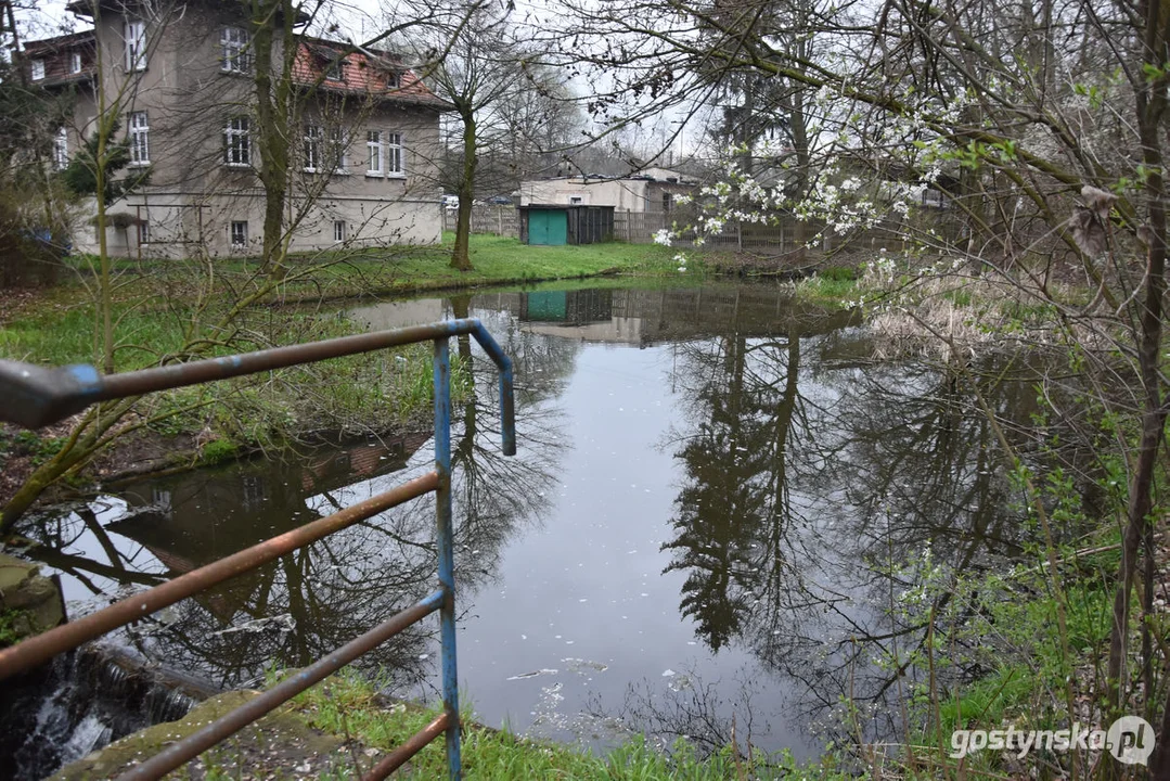 Gmina Gostyń planuje renowację stawów