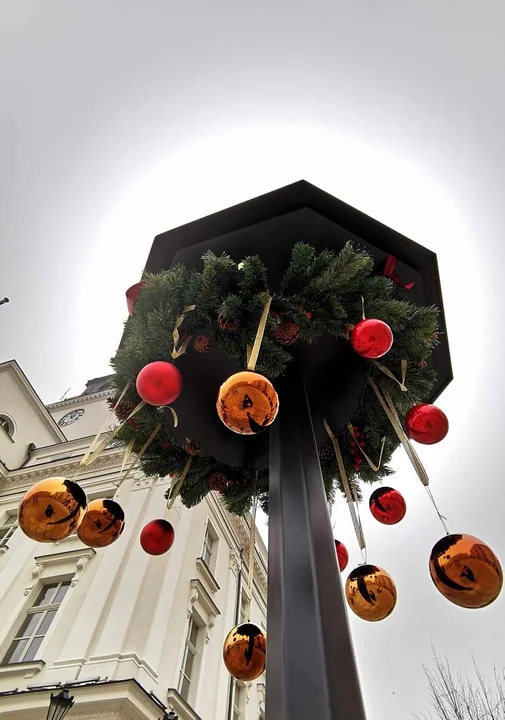 Miasto zapala iluminacje i wstawia żywą choinkę na rynek