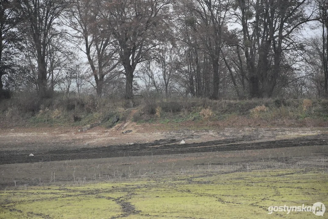 Właściciel posprzątał martwe ryby ze stawu w Żytowiecku. Kto winny całe sytuacji?