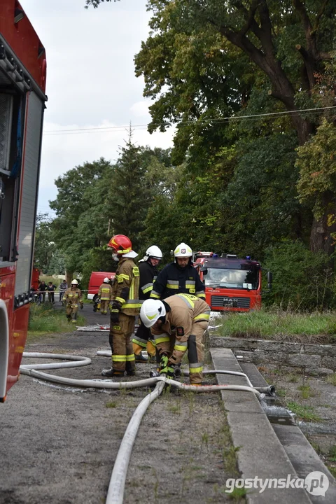 Pożar w zabytkowym pałacu w Wydawach, gm. Poniec