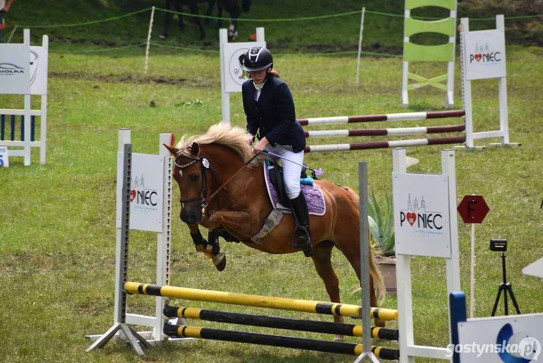 Rokosowo Horse Show - dzień drugi