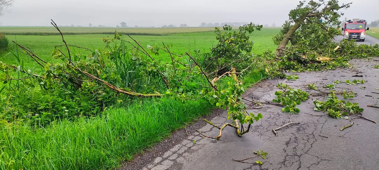 Burze w powiecie krotoszyńskim. Interwencje straży pożarnej