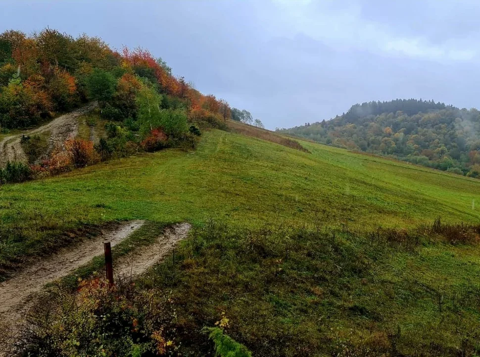 Z punktu widokowego w Terce