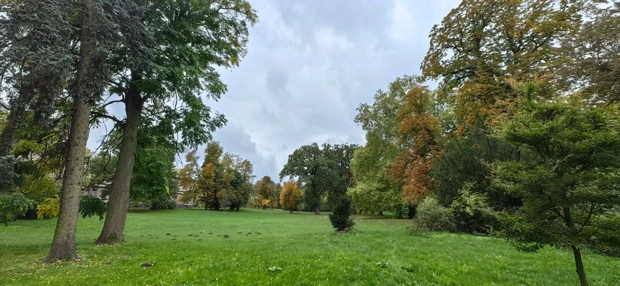 Park w Klęce to prawdziwa perełka. Warto zajrzeć tam właśnie teraz