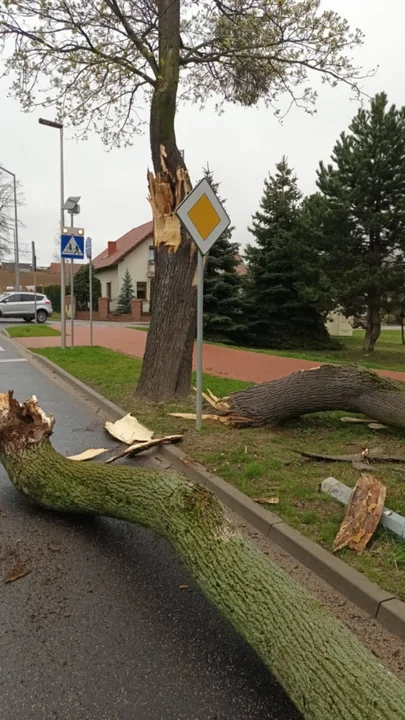 Silny wiatr spowodował szkody w powiecie gostyńskim