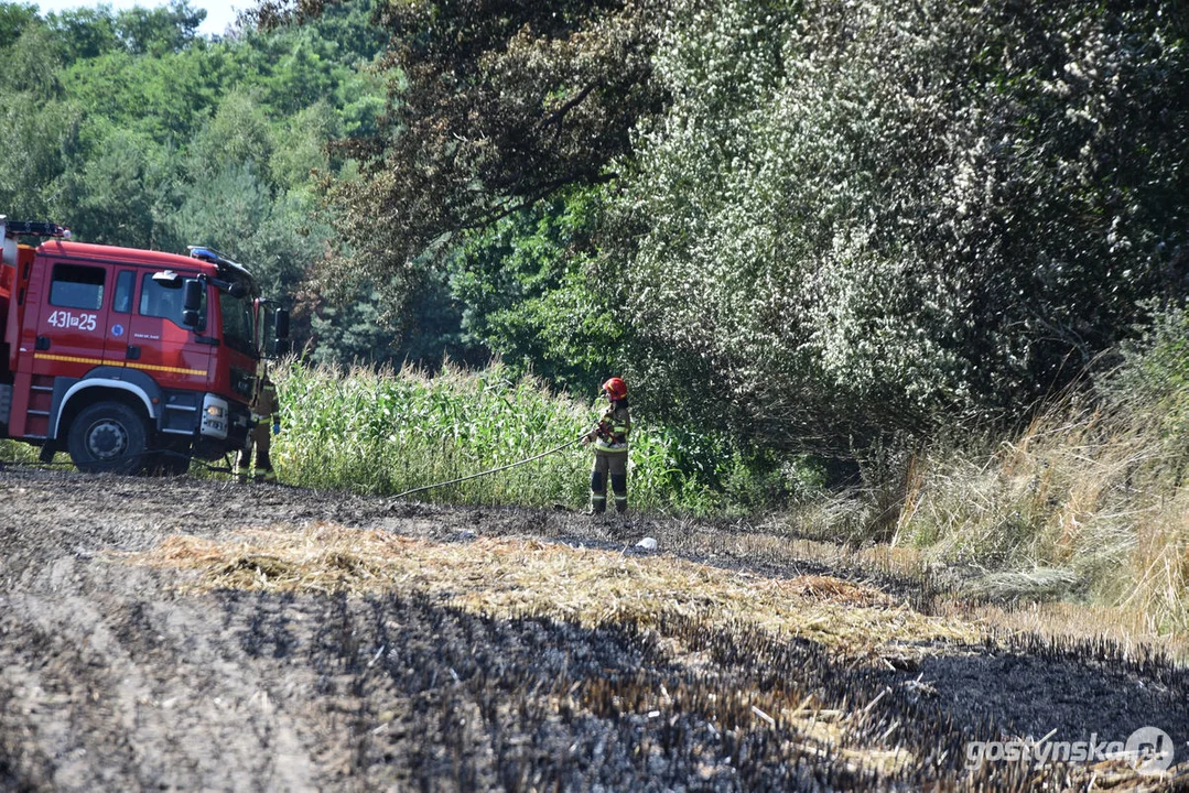 Pożar zboża w Osowie (gm. Gostyń)