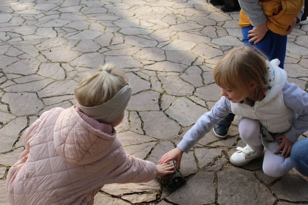 U franciszkanów w Jarocinie z okazji odpustu błogosławiono zwierzęta