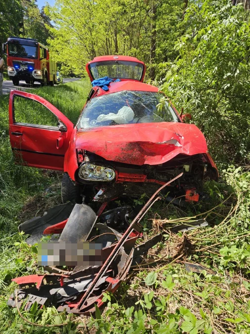 18-latek uderzył VW w drzewo na trasie Siedmiorogów Pierwszy - Pogorzela