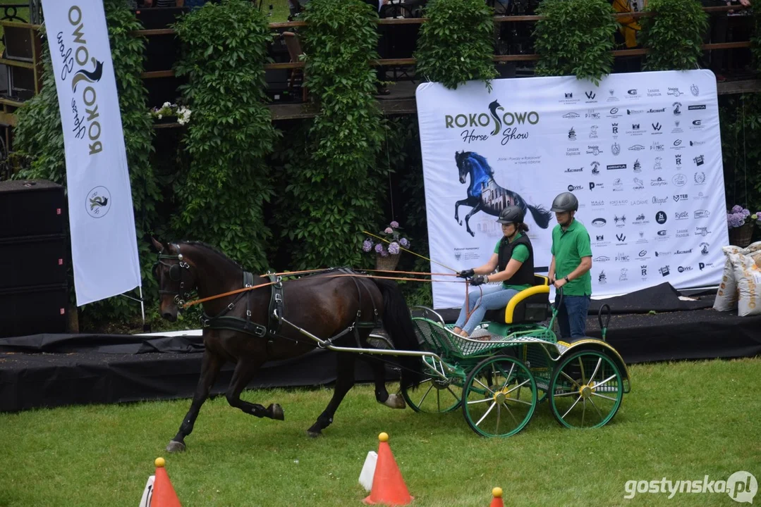 Rokosowo Horse Show 2024 - dzień pierwszy