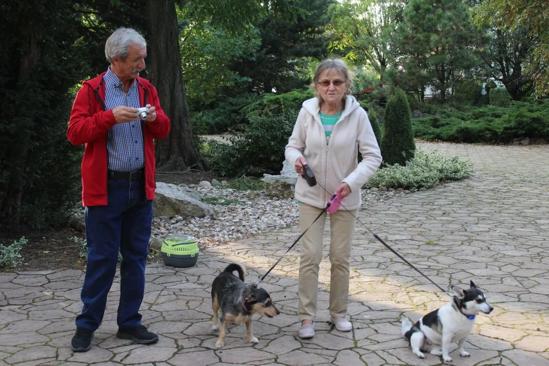 U franciszkanów w Jarocinie z okazji odpustu błogosławiono zwierzęta