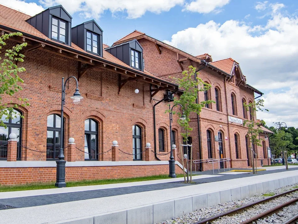 W bibliotece w Pleszewie odbędzie się Dzień Japoński - Zdjęcie główne