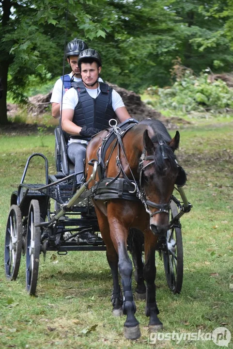 Rokosowo Horse Show 2024 - dzień pierwszy