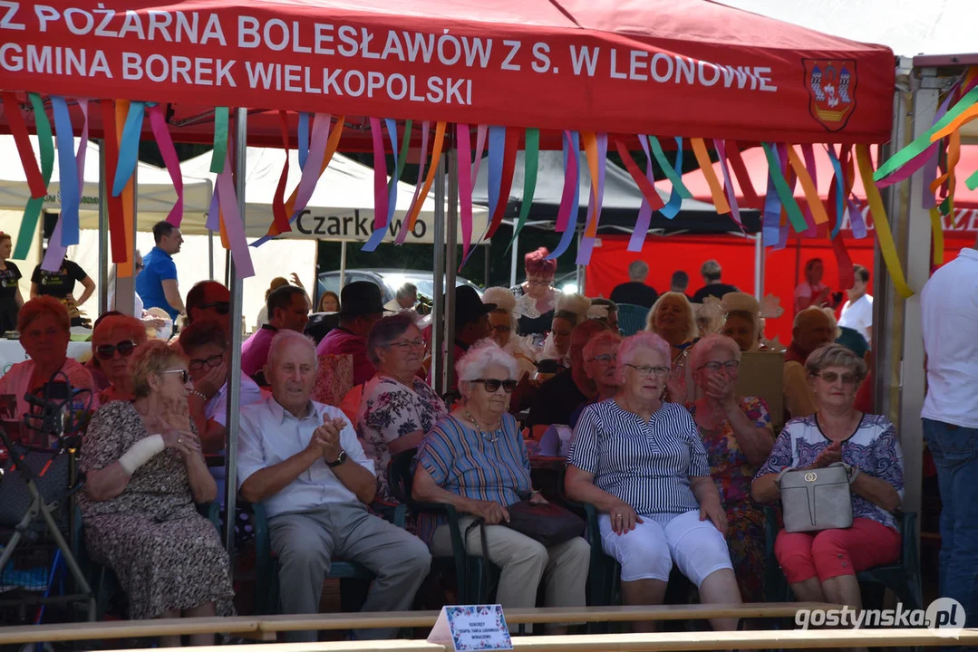 18. Prezentacje Zespołów Ludowych Wielkopolski w Borku Wlkp.