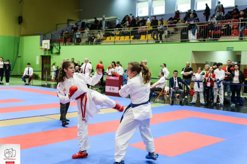 Kobylin. Turniej Karate o Puchar Burmistrza