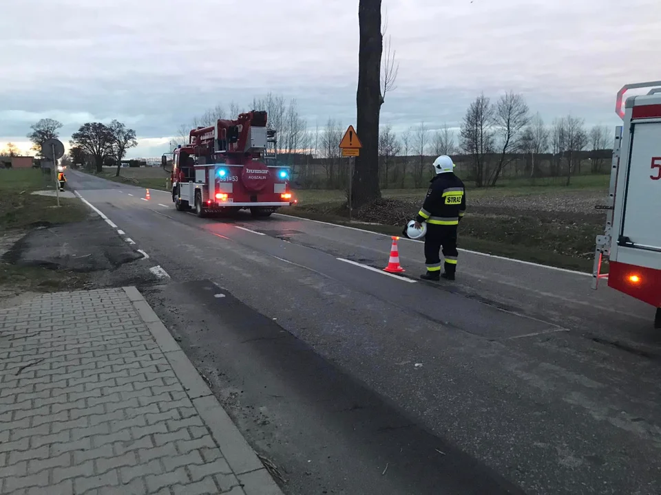 Zwisający konar przy drodze wojewódzkiej. Strażacy w akcji - Zdjęcie główne