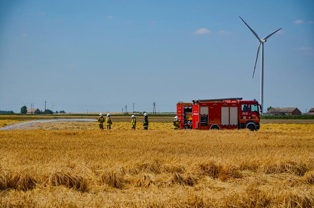 Pożar w miejscowości Trzebin