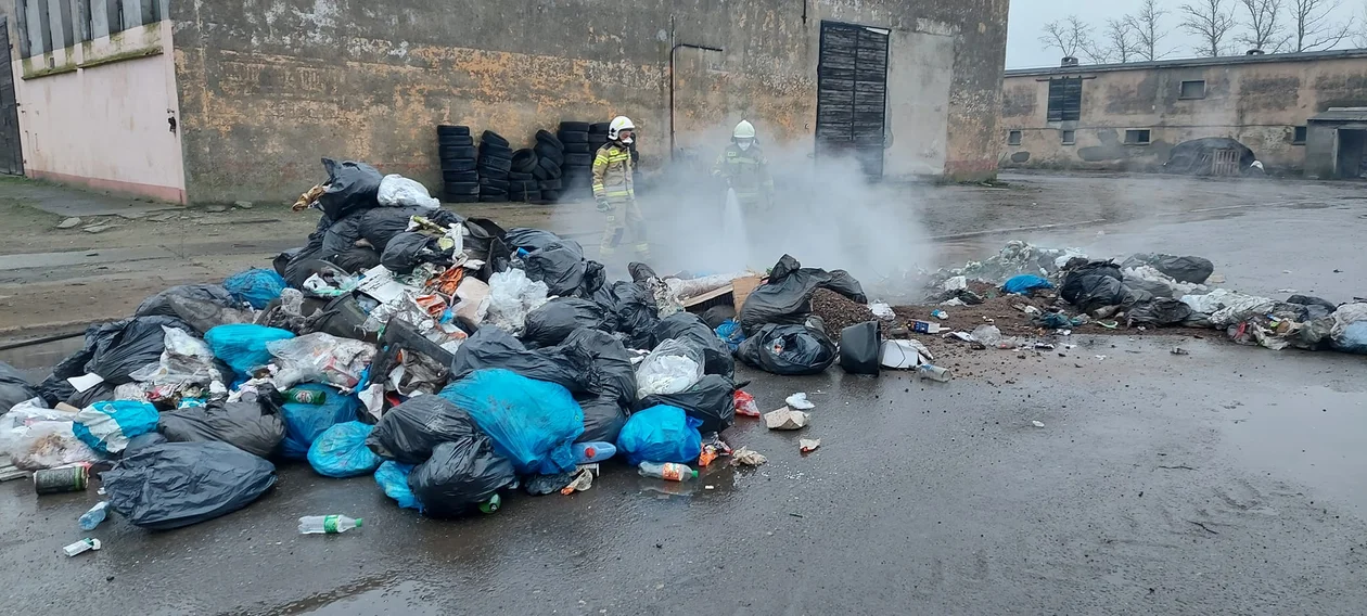 Pożar śmieci w Dobrzycy [ZDJĘCIA] - Zdjęcie główne