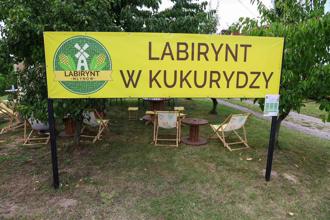 Labirynt w kukurydzy w Młynowie (gmina Ostrów Wielkopolski) to bez wątpienia jedna z najbardziej oryginalnych atrakcji turystycznych naszego regionu