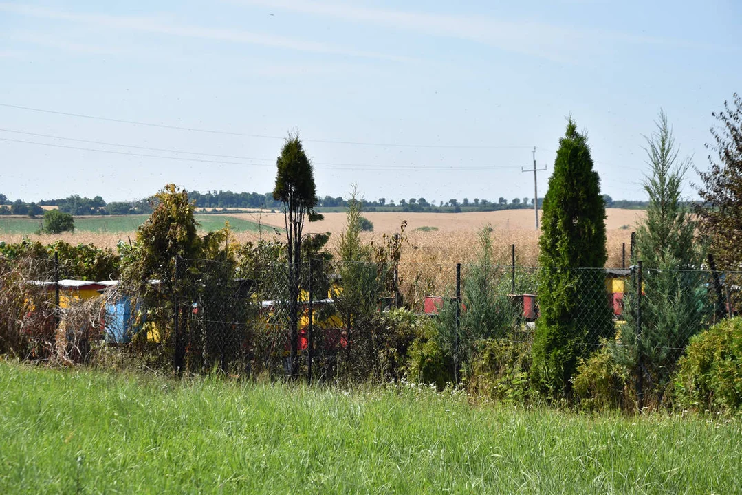 Pożar w pasiece w Dalabuszkach