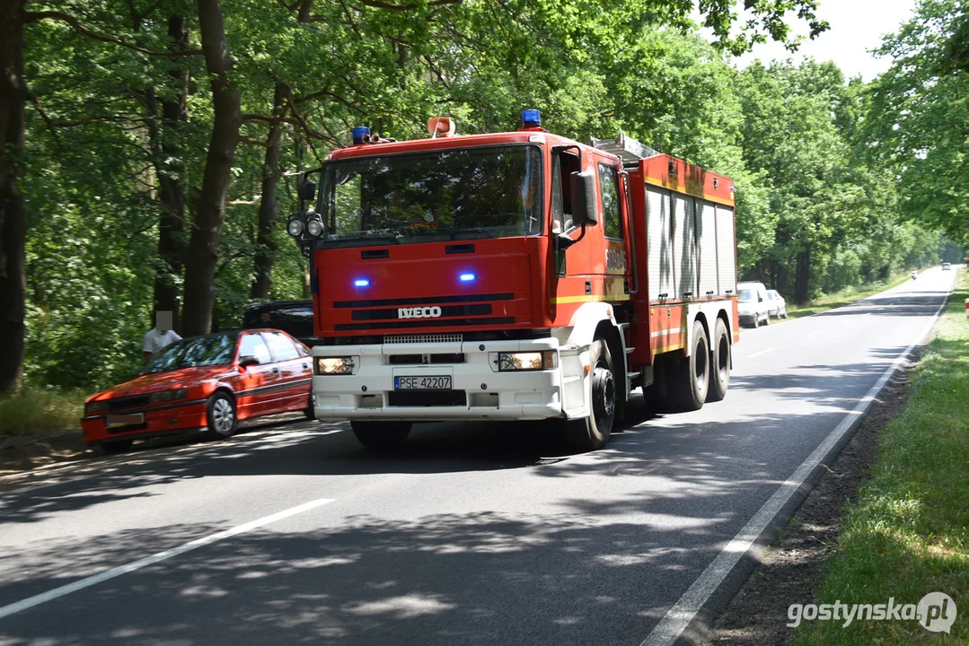 Pożar lasu na granicy powiatu gostyńskiego