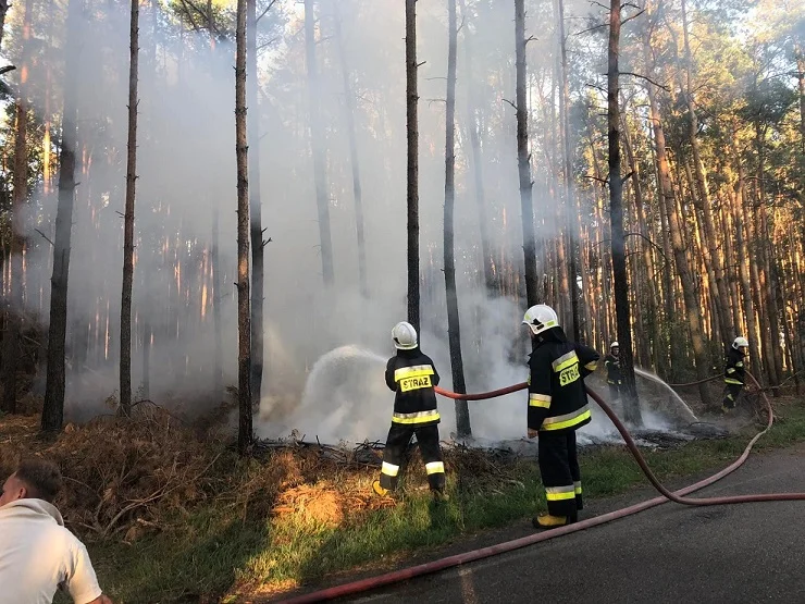 Pożar w miejscowości Kolonia Obory