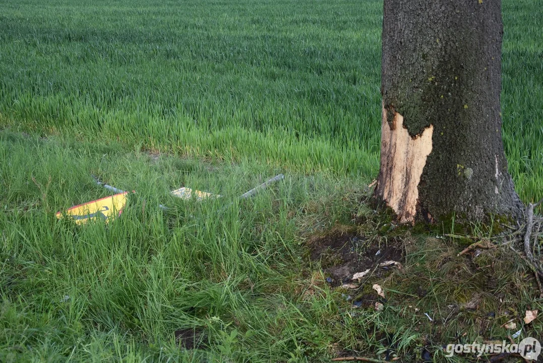 Zderzenie samochodu osobowego z drzewem w Międzyborzu