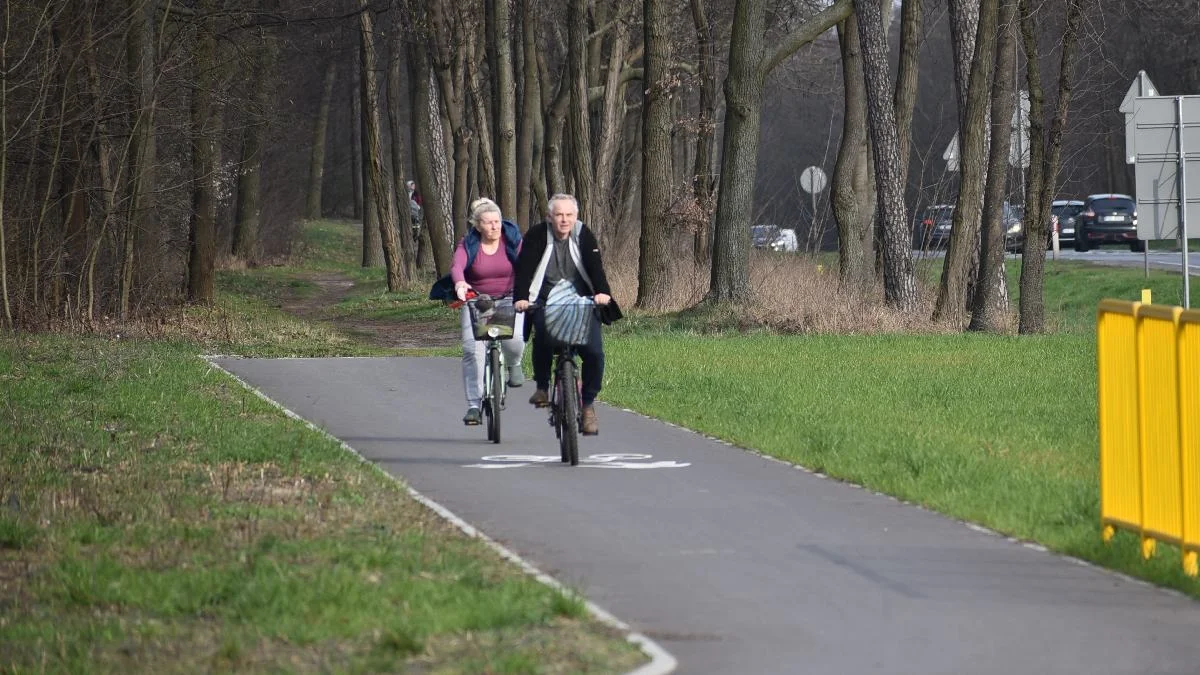 Gmina Piaski czeka na decyzję gostyńskich władz w sprawie budowy ścieżki pieszo-rowerowej. O co chodzi w całej sprawie? - Zdjęcie główne