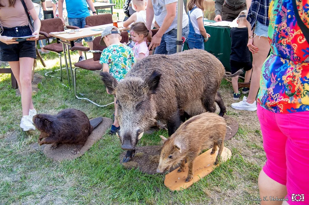 Festiwal Lasu 2022 był bardzo udaną imprezą