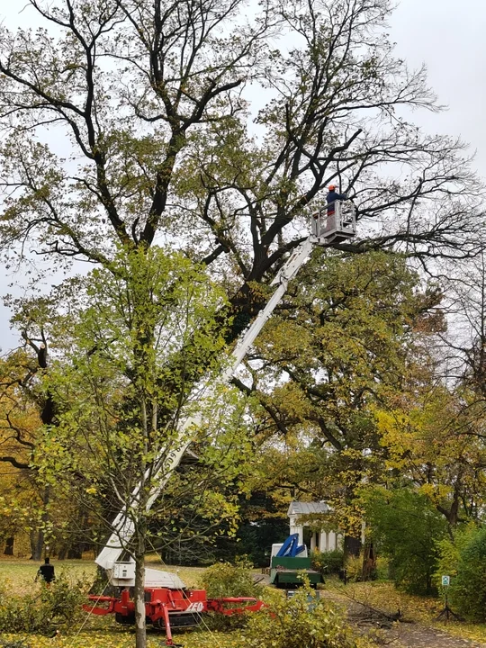 Park w nowej odsłonie. Jakie prace zrealizowano na terenie Muzeum Ziemiaństwa w Dobrzycy? - Zdjęcie główne
