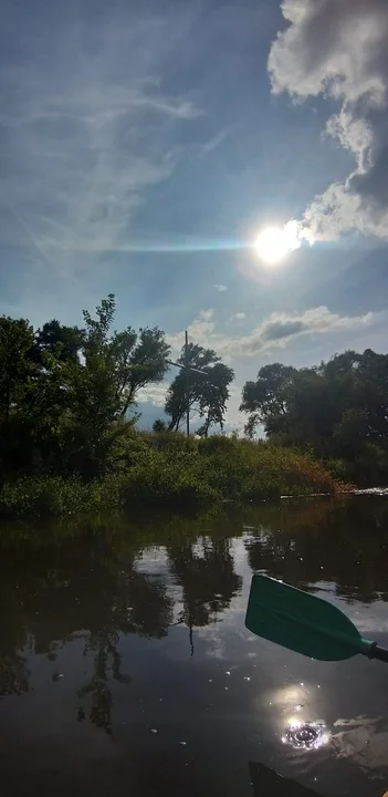 Spływy kajakowe Prosną