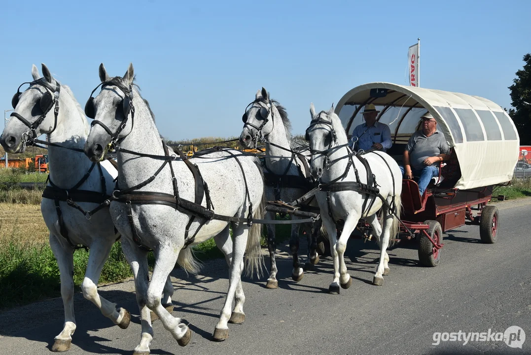 Parada zabytkowych pojazdów podczas dożynek powiatowych na Świętej Górze 2023