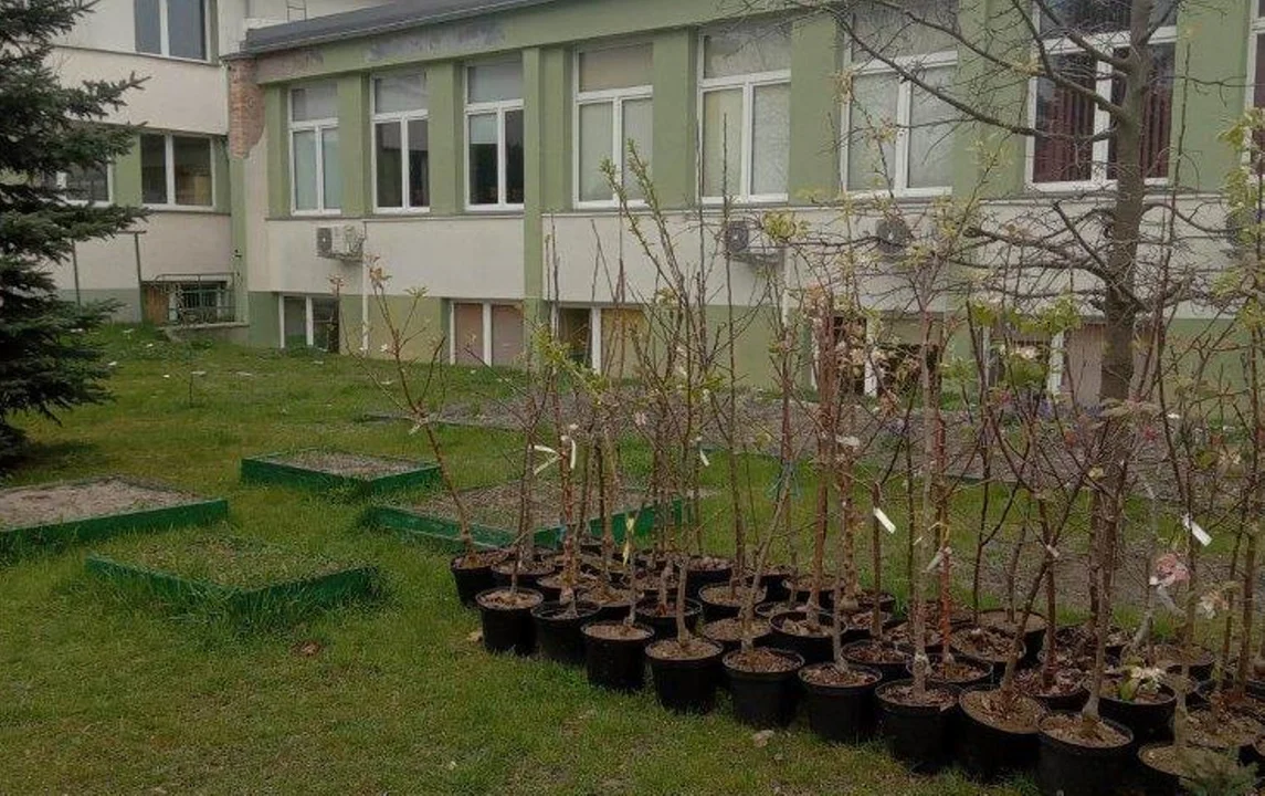 W gminie Rawicz zasadzili ponad 200 drzew owocowych - Zdjęcie główne