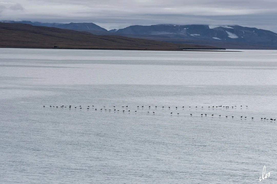 Wyprawa pleszewian na Spitsbergen