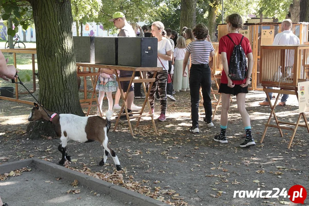 Witaj Szkoło! Bezpieczna Pyrka na Wesoło