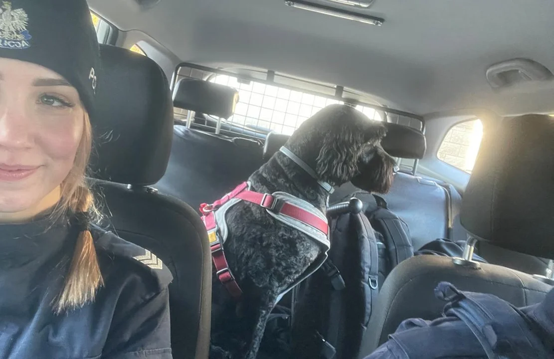 Policjanci uratowali Tosię!