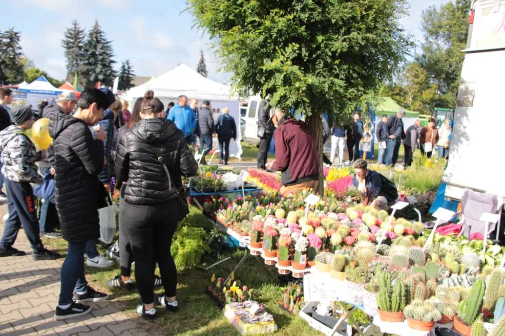 Wyróżnienie dla KGW w Witaszyczkach na targach w Marszewie