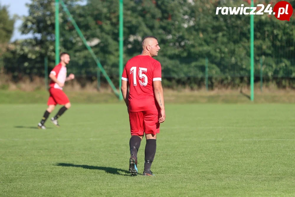 Awdaniec Pakosław - Wisła Borek Wielkopolski 2:5