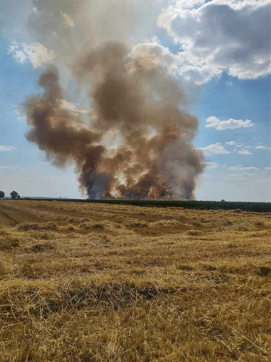 Pożar zboża na Głogówku i innych miejscowościach powiatu gostyńskiego