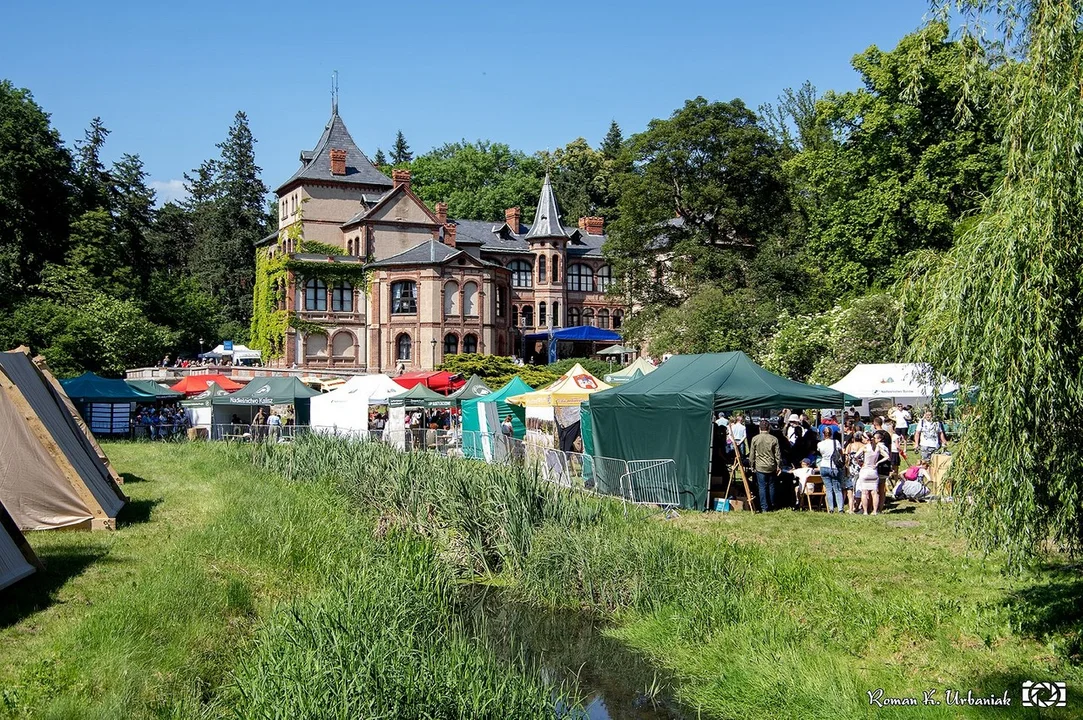 Festiwal Lasu 2022 był bardzo udaną imprezą