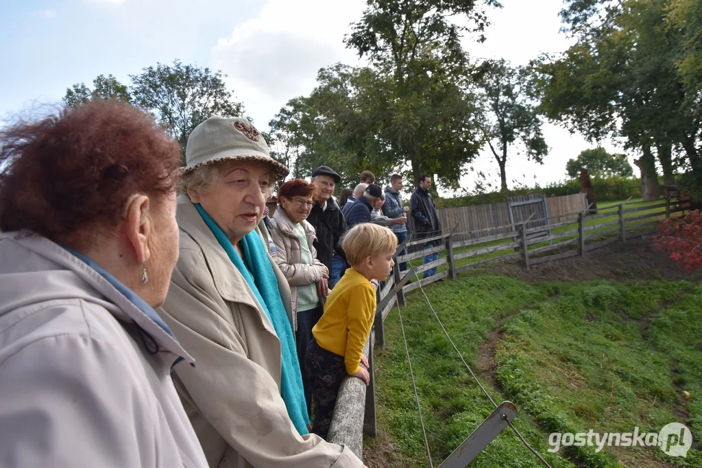 Młodzieżowa Rada Miejska w Gostyniu dla seniorów z Domu Dziennego Senior +