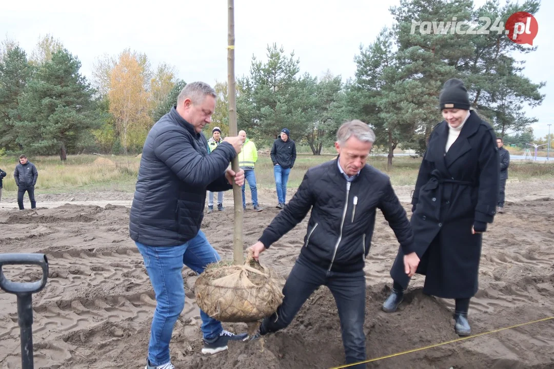 Nowe nasadzenia na poligonie