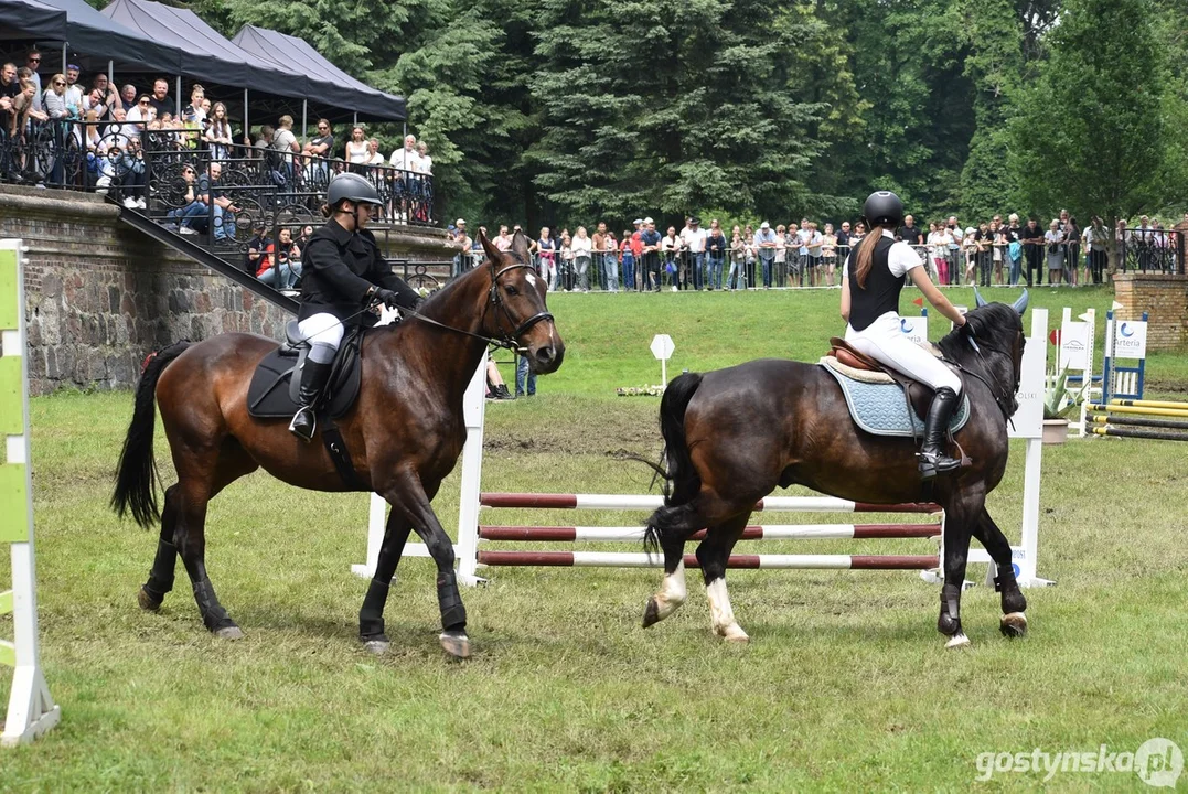 Rokosowo Horse Show - dzień drugi