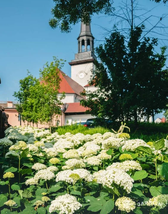 Nagroda Towarzystwa Urbanistów Polskich dla gminy Jarocin