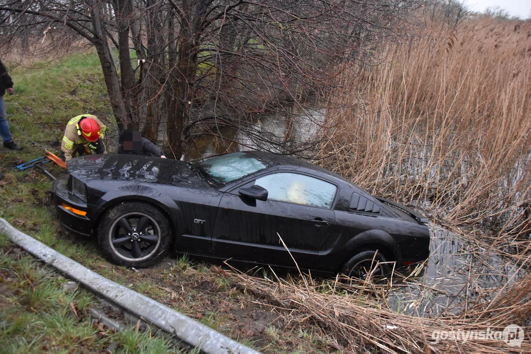 Mustang wpadł do stawu. Straż pożarna z Gostynia w akcji