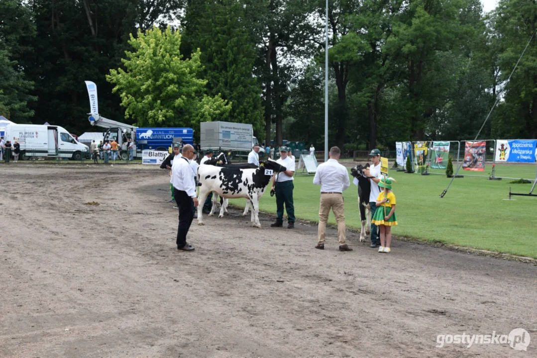 Jubileuszowa, bo XV Regionalna Wystawa Zwierząt Hodowlanych w Pudliszkach