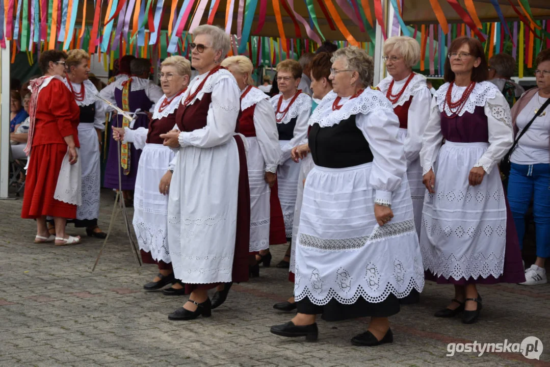 XIX Prezentacje Zespołów Ludowych Wielkopolski - Borek Wlkp. 2024